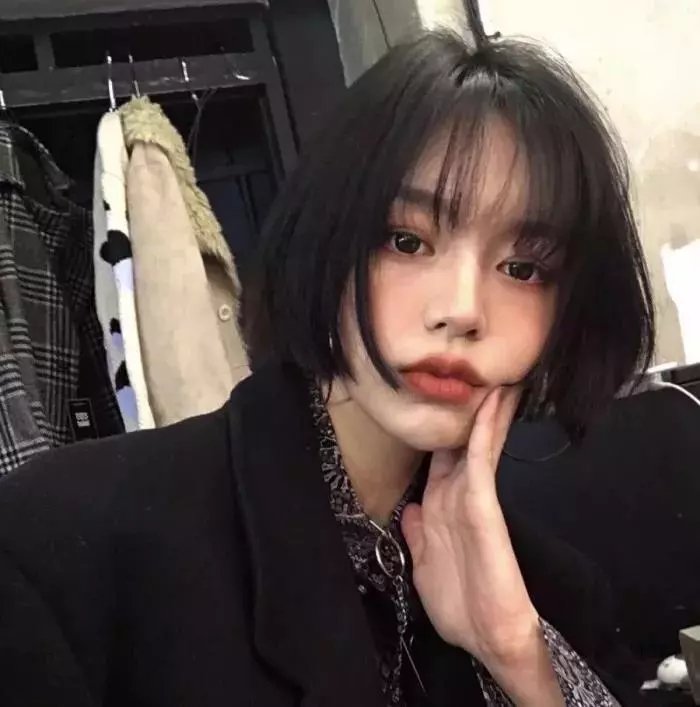 嗜血灰熊